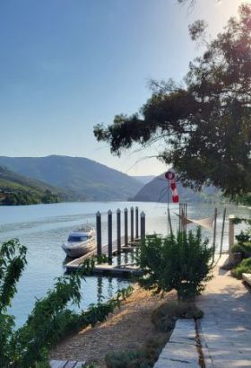 Live Douro