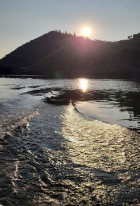 Live Douro