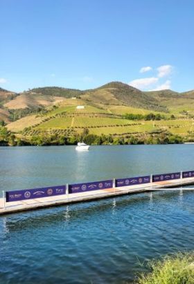 Live Douro